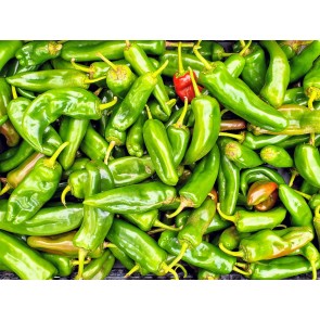 Hot Pepper 'Anaheim' 