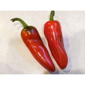 Hot Pepper ‘Aji Panca’ Seeds (Certified Organic)
