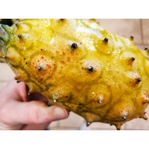 Jelly Melon (Kiwano) AKA African Horned Cucumber Seeds (Certified Organic)