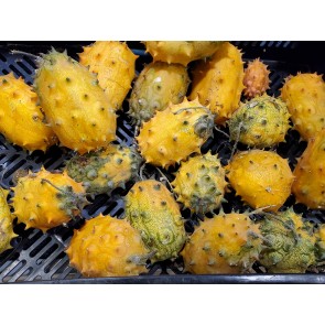 Jelly Melon (Kiwano) AKA African Horned Cucumber Seeds