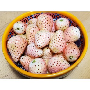 Strawberry 'Pineberry F2' Seeds
