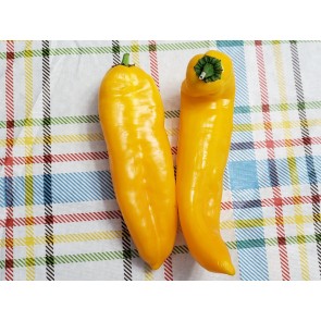 Pepper 'Super Sweet Giant Yellow' Seeds (Certified Organic)