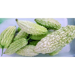 White Bitter Melon Seeds (Certified Organic)