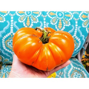 Tomato 'Amana Orange' Seeds (Certified Organic)