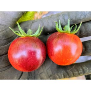 Tomato 'Black Strawberry' Seeds (Certified Organic)
