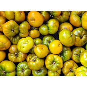 Tomato 'Moldovan Green' 