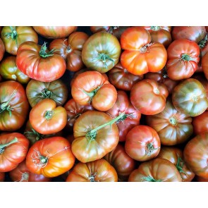 Tomato 'Large Barred Boar' 