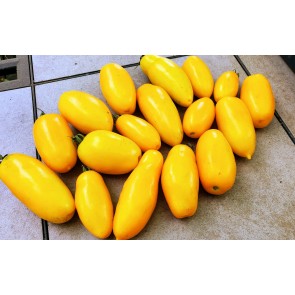 Tomato 'Golden Roma' Seeds (Certified Organic)