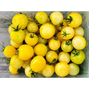Tomato 'Dr. Carolyn' Seeds (Certified Organic)