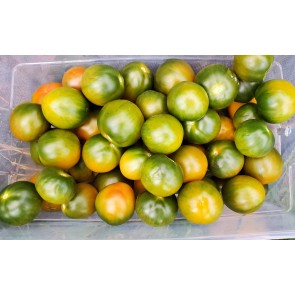 Tomato 'Evil Olive' Seeds (Certified Organic)
