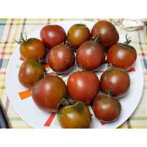 Tomato 'Tamara's Sweet Brown' Plant (4" Pot, single)