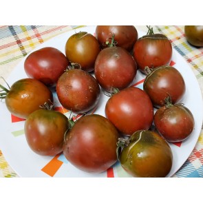 Tomato 'Tamara's Sweet Brown' Seeds (Certified Organic)