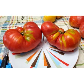 Tomato 'Cuore de Toro Beefsteak Cross' AKA 'Bull's Heart' Seeds (Certified Organic)