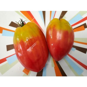 Tomato 'Tamara's San Marzano Pink Strain' Seeds (Certified Organic)