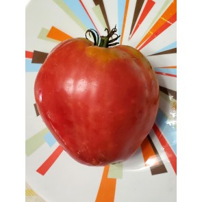 Tomato 'Giant Oxheart' Seeds (Certified Organic)