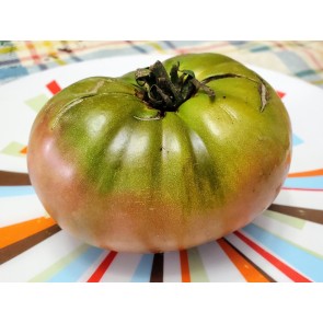 Tomato 'Amazon Chocolate'