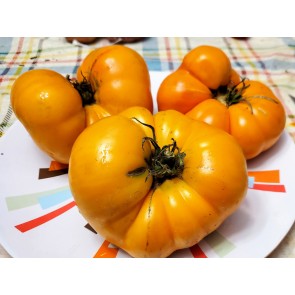 Tomato 'Yellow Brandywine' Plant (4" Pot, single)