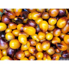 Tomato 'Indigo Pear Drops' Seeds (Certified Organic)
