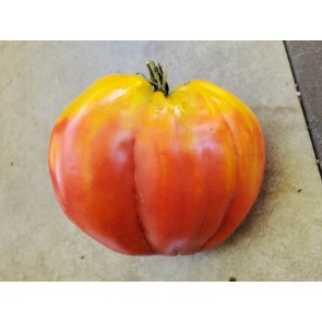 Tomato 'Tamara's San Marzano Pink Ruffled Strain' Seeds (Certified Organic)