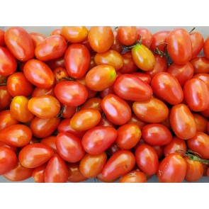 Tomato 'Teardrop Red Grape' 