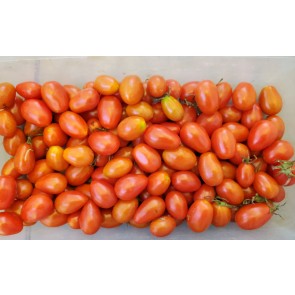 Tomato 'Teardrop Red Grape' Seeds (Certified Organic)