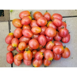 Tomato 'RB Pink Grape' Seeds (Certified Organic)