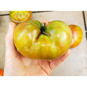 Tomato 'Vorlon' Seeds (Certified Organic)