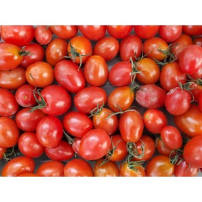 Tomato 'Jelly Bean Grape' Plant (4" Pot, single)