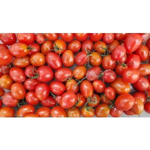 Tomato 'Jelly Bean' Seeds (Certified Organic)