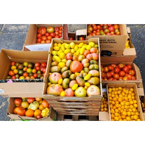 Heirloom Tomatoes - SECONDS
