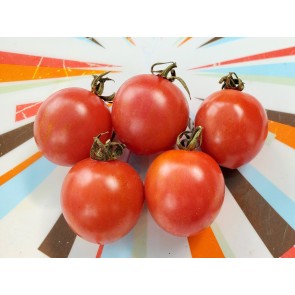 Tomato 'Pink Sprinkles' Seeds (Certified Organic)