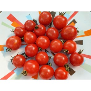 Tomato 'Red Sprinkles' Seeds (Certified Organic)