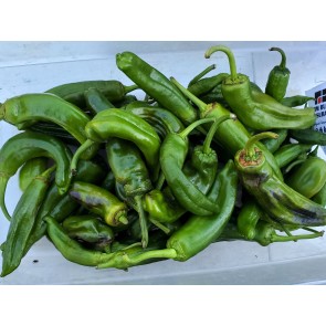 Mild Pepper 'Italian Pepperoncini' Seeds (Certified Organic)