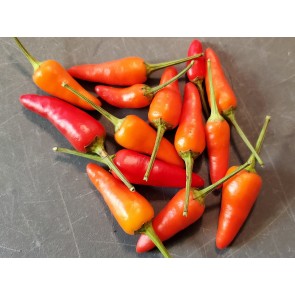 Hot Pepper ‘Thicc Thai’ Seeds (Certified Organic)