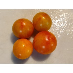 Tomato 'Yellow Sprinkles' Seeds (Certified Organic)