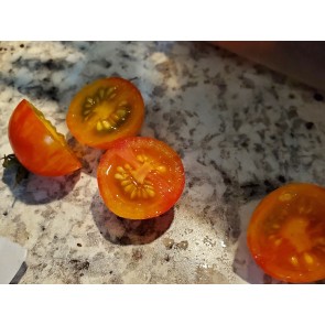Tomato 'Yellow Sprinkles' Seeds (Certified Organic)