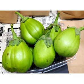 Eggplant ‘Saitama Ao Daimaru’ Seeds (Certified Organic)