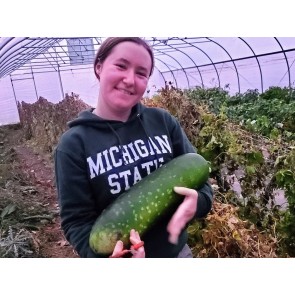 Mao Qua AKA Fuzzy Gourd 