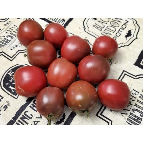 Tomato 'Joffre'