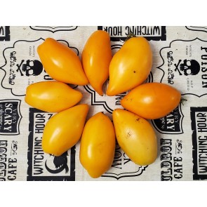 Tomato 'Buratino' AKA 'Pinocchio' Seeds (Certified Organic)