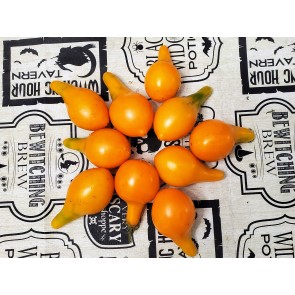 Tomato 'Mila Orange Pear' Plant (4