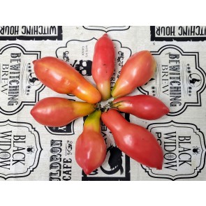 Tomato 'Pink Fang' Seeds (Certified Organic)