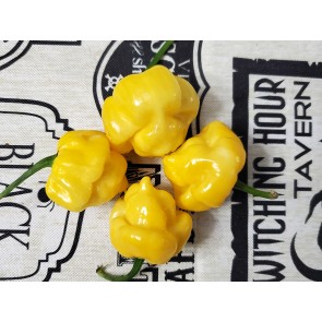 Hot Pepper ‘Bahamian Beast Yellow' Seeds (Certified Organic)