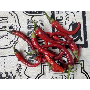 Hot Pepper ‘Buena Mulata' Seeds (Certified Organic)