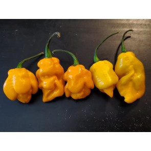 Hot Pepper 'Lemon Ghostly Jalapeno' Seeds (Certified Organic)