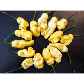 Hot Pepper 'White Ghostly Jalapeno' Seeds (Certified Organic)