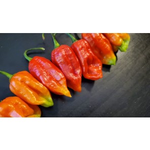 Hot Pepper ‘Lemon Reaper Red Cross’ (Aji Lemon x Carolina Reaper) Seeds (Certified Organic)