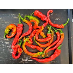 Hot Pepper ‘Hangjiao #5 (HJ5) Helix Nebula Space Chili’ Seeds (Certified Organic)