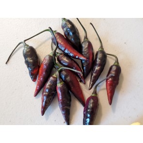 Hot Pepper ‘Biquinho Black Cross' Seeds (Certified Organic)