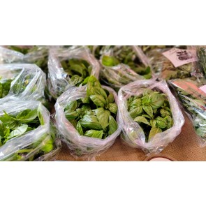 Basil 'Genovese' AKA 'Classico' Seeds (Certified Organic)